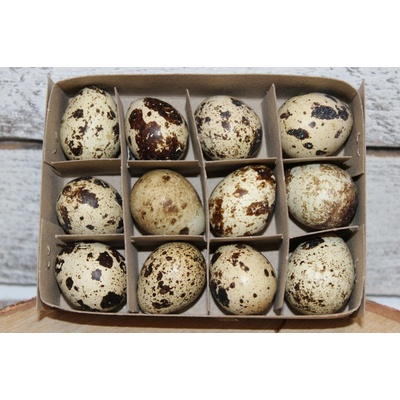 Křepelčí vajíčka – Hledejceny.cz