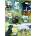 Otter House - Puzzle Mans Best Friend 1000 - 1 000 piese