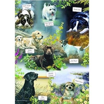 Otter House - Puzzle Mans Best Friend 1000 - 1 000 piese