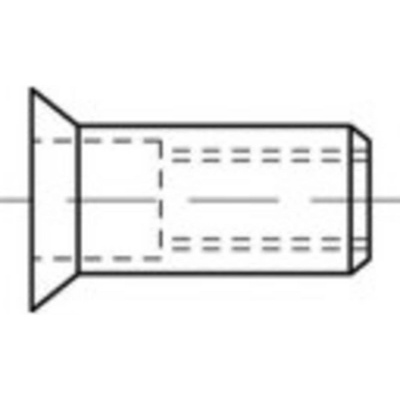 TOOLCRAFT TO-5380524 slepá nitovacie matice M6 nerezová ocel 250 ks