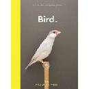 Bird.