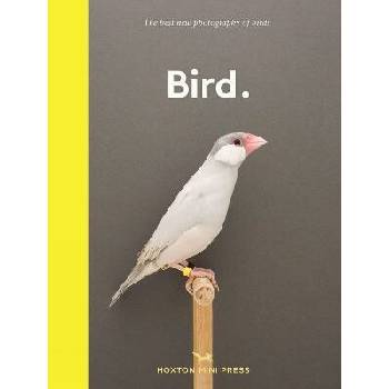 Bird.