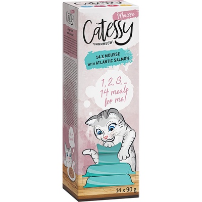 Catessy Mousse s lososom atlantickým 14 x 90 g