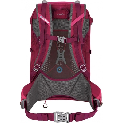 Husky Cingy 30l magenta