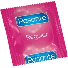 Pasante Regular 100 ks