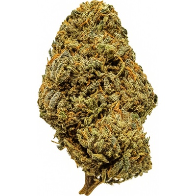 KlonyKonopí CBD Royal OGAmerika THC do 1% 10 g – Zboží Dáma