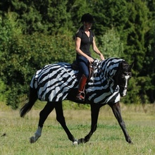 Bucas Deka jazdecká Buzz Off Zebra proti hmyzu s krkom