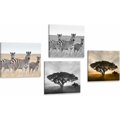 Set obrazov zvieratá žijúce na Savane