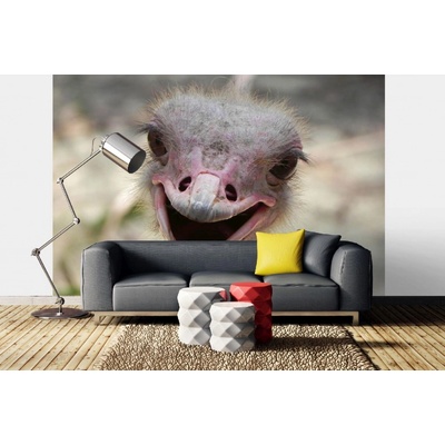 Dimex MA-5-0403 Samolepicí vliesová fototapeta na zeď Pštros rozměry 375 x 250 cm