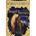 Angel therapy. 44 Carte. Con libro | Doreen Virtue