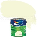 Interiérové farby Dulux CoW akáciové puky 2,5l