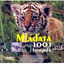 Mláďata
