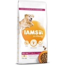 Iams Dog Senior Large Breed Chicken 12 kg