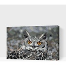 Vymalujsisam Malování podle čísel Sova 3