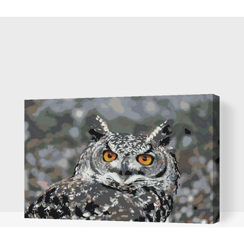 Vymalujsisam Malování podle čísel Sova 3