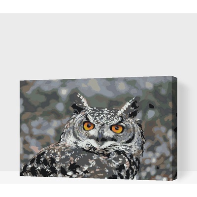 Vymalujsisam Malování podle čísel Sova 3