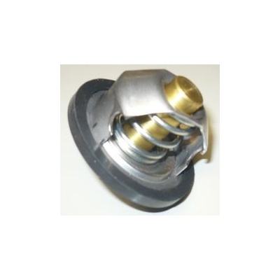Termostat Multicar M25