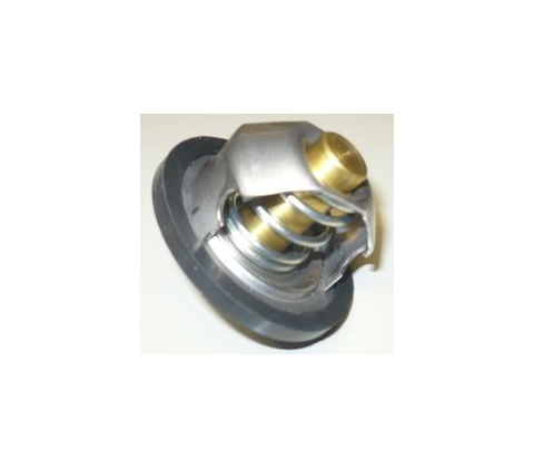 Termostat Multicar M25