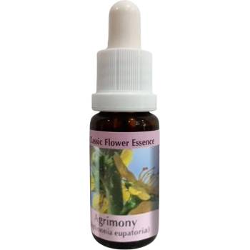 PHI Essences Есенция Лечебен камшик № 1, капки 15 ml | PHI Essences (1 CLASSIC)