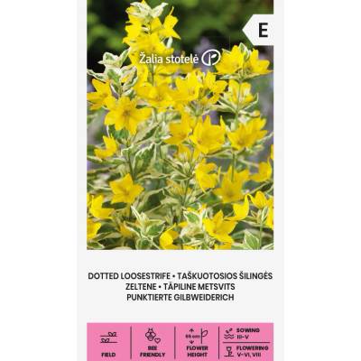 Seklos Лизимахия Жълта Точкова Lysimachia punctata