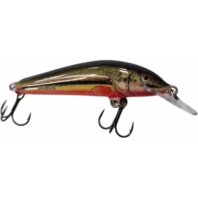 Salmo Minnow Sinking Rainbow dace 5cm 5g