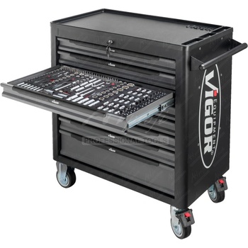 Vigor V4542