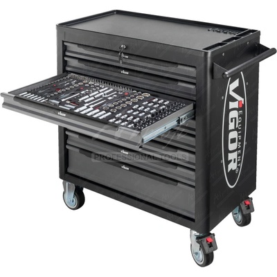 Vigor V4542