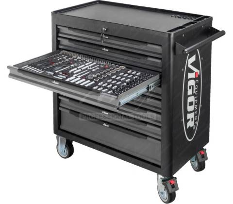Vigor V4542