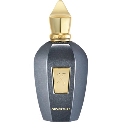 Xerjoff Ouverture Eau de Parfum parfumovaná voda unisex 100 ml