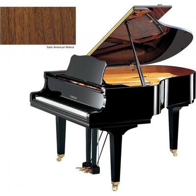 Yamaha GC2 PE