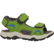 Lurchi 74L8193002 green