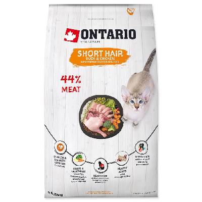 Ontario Cat Shorthair 6,5 kg