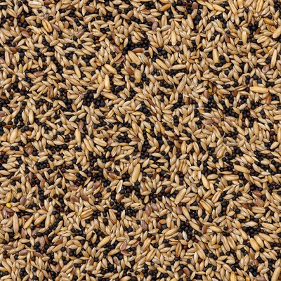 Deli Nature 50 Canaries Basic 4 kg