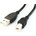 Gembird CCP-USB2-AMBM-10