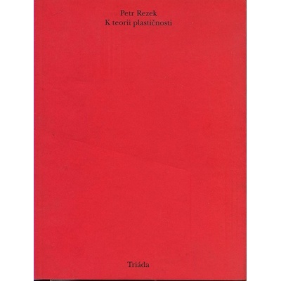 K teorii plastičnosti - Rezek Petr
