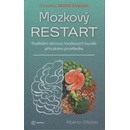 Mozkový restart