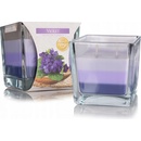 Bispol Aura Violet 170 g