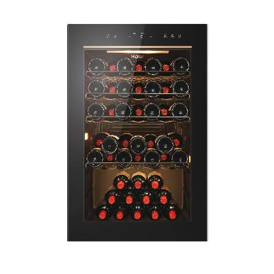 HAIER HWS49GAE