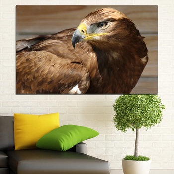 Vivid Home Декоративни панели Vivid Home от 1 част, Птици, PVC, 150x100 см, №0615