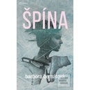 Špína