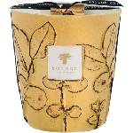 Baobab Collection Folia Garrigue Ароматна свещ 16 см (MAX16FGAR)