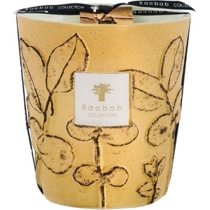 Baobab Collection Folia Garrigue Ароматна свещ 16 см (MAX16FGAR)