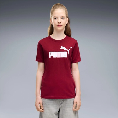 Puma Ess 2 Color No.1 Logo Tee G 684892 23