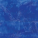 Water From Your Eyes - It's A Beautiful Place [CD]