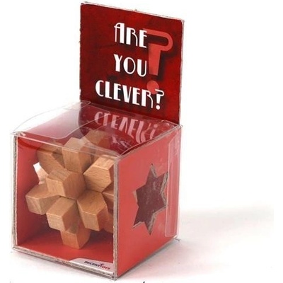 Recenttoys Hlavolam Are you Clever