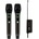 AudioDesign PMU 601 D