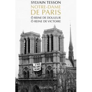 NOTRE-DAME DE PARIS | Tesson sylvain (2024)
