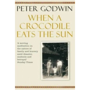 When A Crocodile Eats the Sun | Peter Godwin (2007)