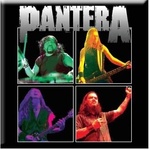 Pantera Band Photo Магнит (PANTMAG03)