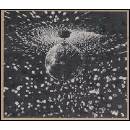 YOUNG NEIL: MIRROR BALL CD